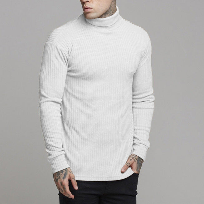 Herr Turtleneck Tröja – Slim Fit – Ribbstickad – Långärmad